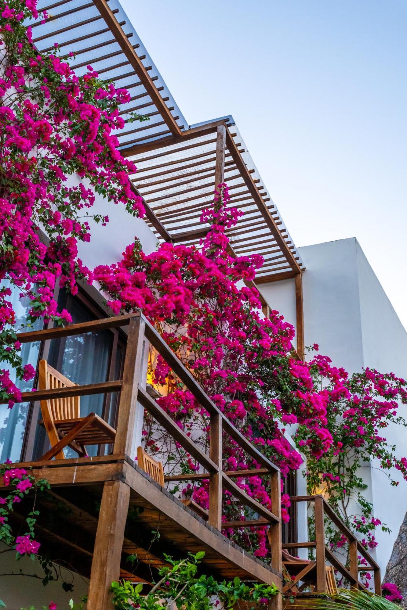 My Blue Hotel Holbox Exterior photo