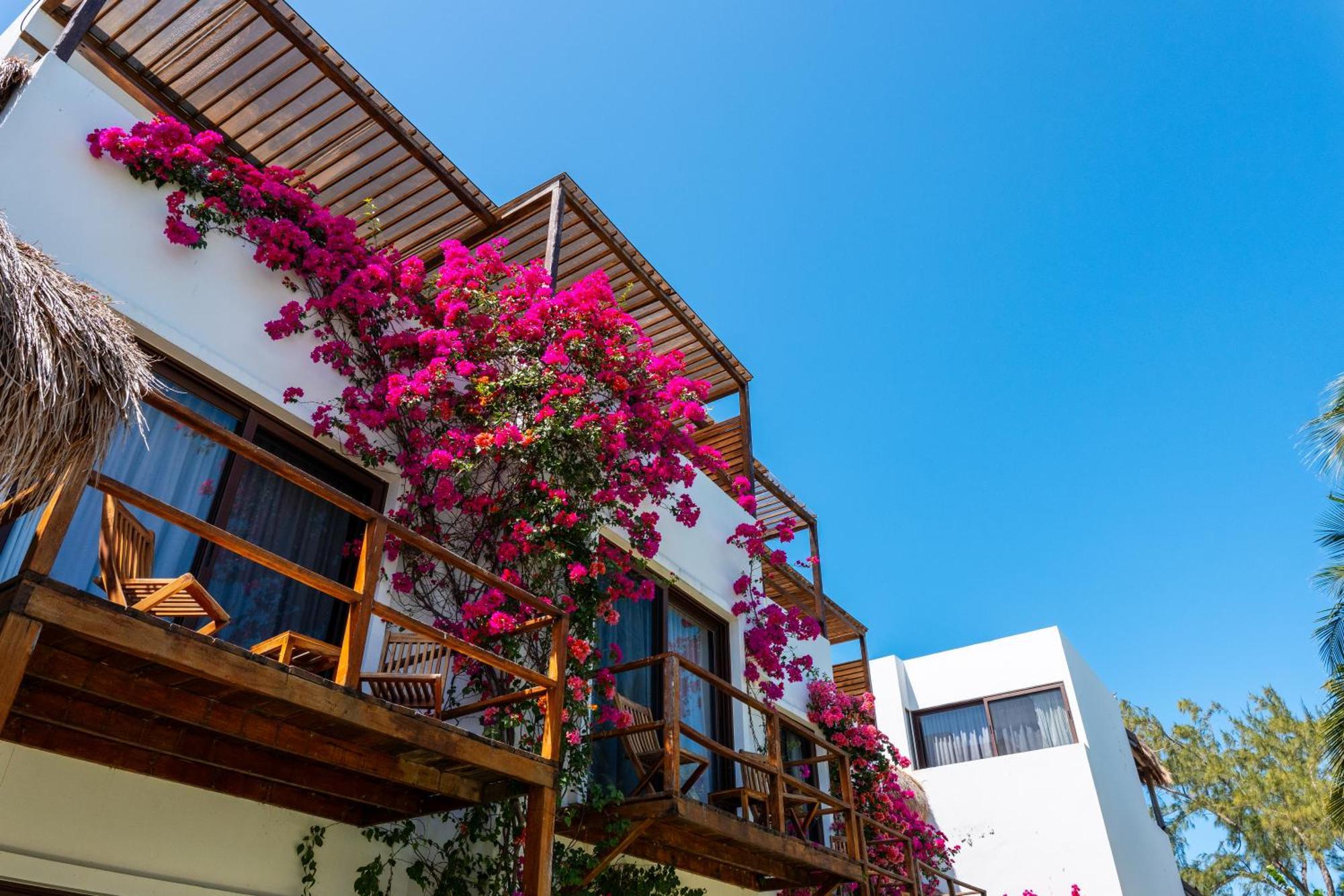 My Blue Hotel Holbox Exterior photo